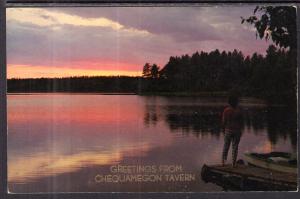 Greetings From Chequamegon Tavern,WI Lake Scene BIN