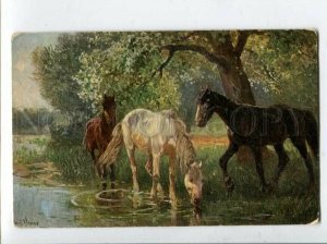 3120224 Wild HORSE in Forest River by VENNE Vintage color PC