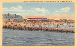 Buckroe Beach Virginia Bathing Beach, Hotel Buckroe & Pavilion, PC U16832