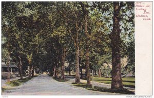 Boston St., Looking East, Madison, Connecticut, 1900-1910s