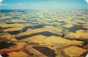 Crazy Quilt Of The Camas Prairie, Between Lewiston & Grangeville ID Vtg Postcard