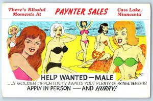 Risque Humor Beach Bathing Beauty Swimsuits Help Wanted Male Signed Postcard