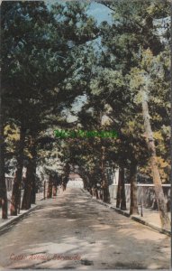 British Overseas Territory Postcard-Cedar Avenue, Hamilton City, Bermuda RS27072