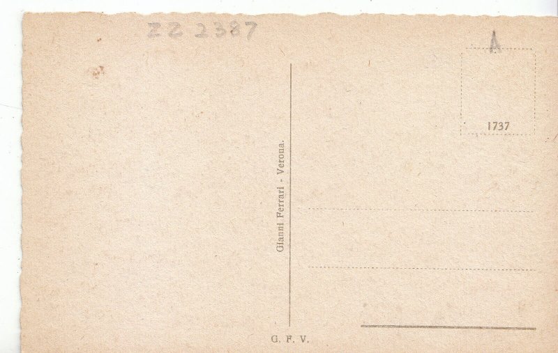 Italy Postcard - Verona - Adige E Castello Scaligero    ZZ2387