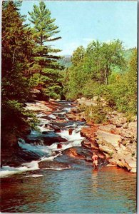 Postcard NATURE SCENE Salem New Hampshire NH AK1153