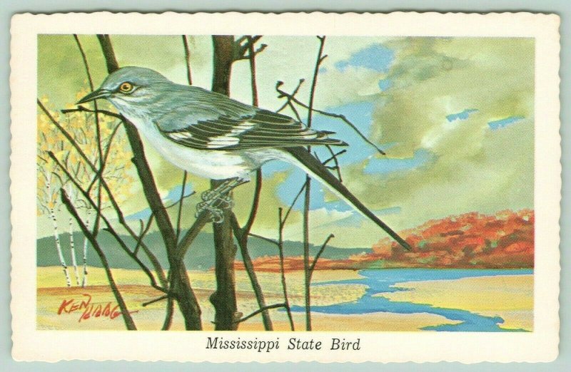 Mississippi State Bird~Mockingbird Perched on Bare Branches~River~1968 Ken Haag 