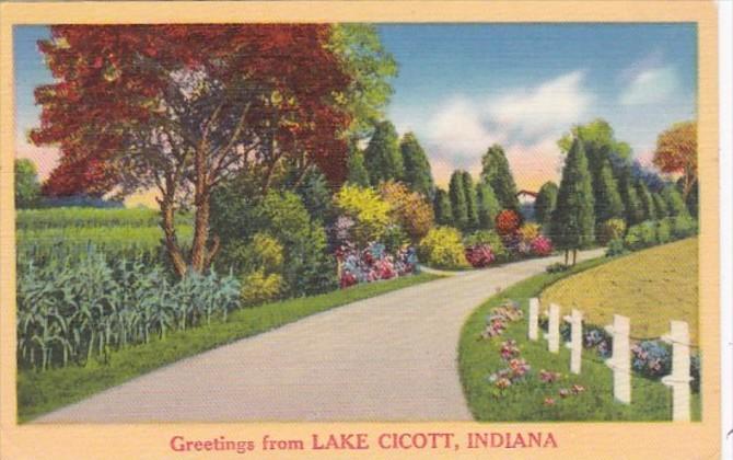 Indiana Greetings From Lake Cicott 1966