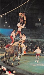 Bareback Bravado The Greatest Show on Earth Circus Unused 