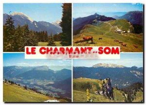 Postcard Modern chartreuse Charmant Som Som Charming and Grand Som