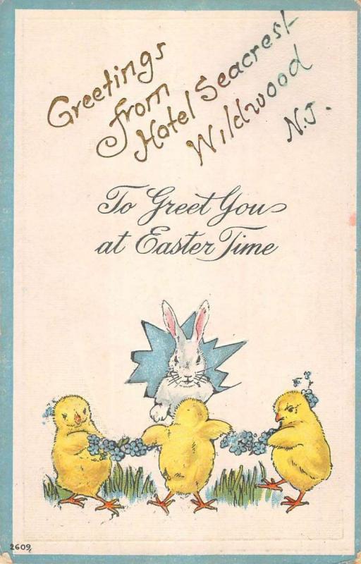 Wildwood New Jersey Easter Greeting Chicks Bunny Antique Postcard K80595