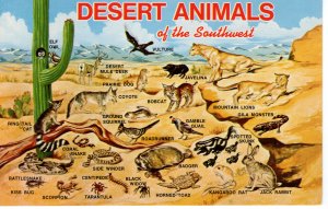 US    PC5218 DESERT ANIMALS OF THE SOUTHWEST