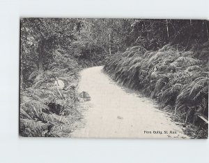 Postcard Fern Gully St. Ann Jamaica
