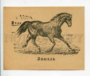 402964 USSR HORSE 1946 year Glavuchtehprom card