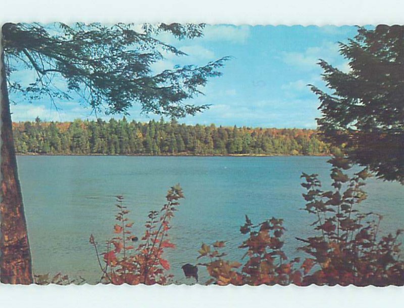 Pre-1980 Postmarked FOREST ONTARIO WATER by Sarnia Strathroy & London ON AD6089