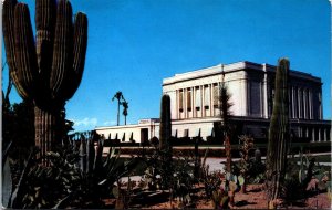 USA Latter Day Saints Mormon Temple Mesa Arizona Chrome Postcard C006