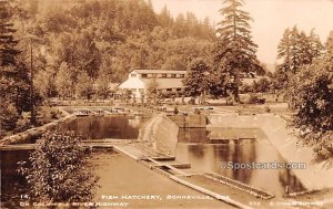 Fish Hatchery - Bonneville, Oregon OR  