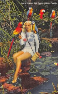 Parrot jungle Miami, Florida USA Parrot jungle Miami, Florida USA