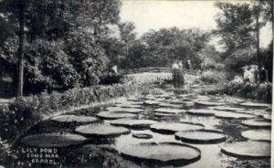 Lily Pond, Como Park in St. Paul, Minnesota