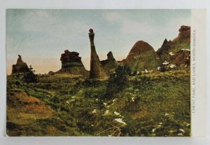North Dakota Ument Park Bad Lands Beautiful Rock Formation Postcard S19