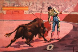 Bull Fighter BIN