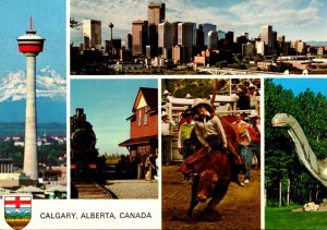 Canada Calgary Multi View Calgary Tower Stampede Zoo and More