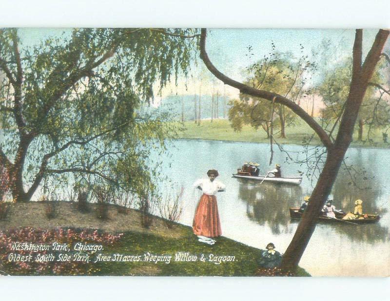 Divided-Back BOATS UNDER WEEPING WILLOW TREE AT WASHINGTON PARK Chicago IL c8193