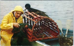 MAINE COAST, ME Maine    LOBSTER FISHERMAN    c1950s       Postcard