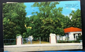 Memphis Zoological Garden Lions Entrance 1953 Tennessee Vintage Postcard