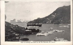St. John's Newfoundland Iceberg Drift Ice c1910 Postcard