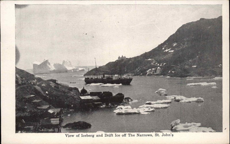 St. John's Newfoundland Iceberg Drift Ice c1910 Postcard