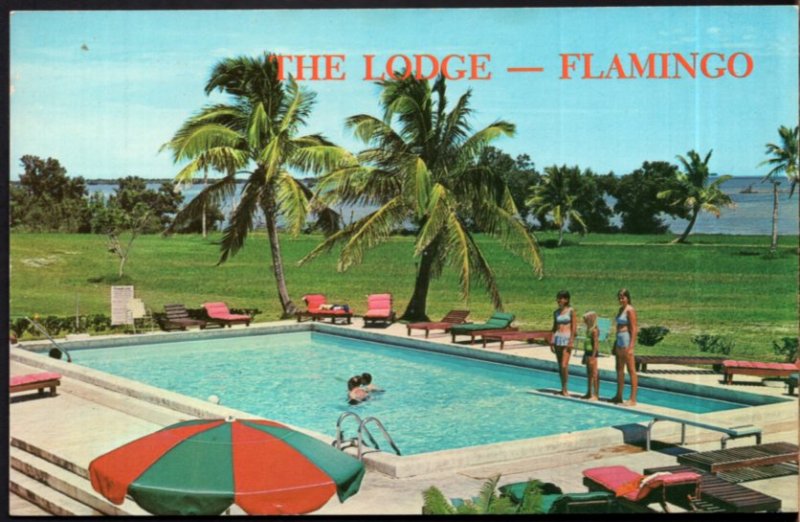 Florida Fresh Water Swimming Pool at The Lodge at FLAMINGO Everglades - Chrome