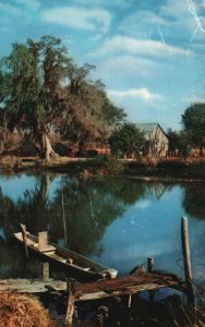 Along The Bayou Boats Oak Tree Deep South Vintage Postcard