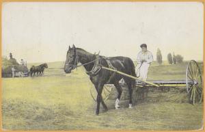 Vintage Farm Scene - Horse Drawn Hay Rake