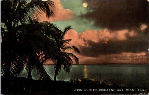 Florida Miami Moonlight On Biscayne Bay