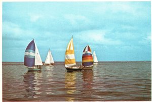 Vintage Postcard Sailboat Racing Sheltered Bays Deep Water Long Island New York