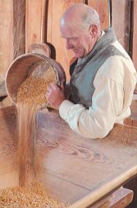 Massachusetts Sturbridge Miller Pouring Grain In The Gristmill Old Sturbridge...