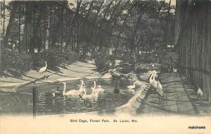 C-1910 St Louis Missouri Bird Cage Forest Park undivided postcard 4792