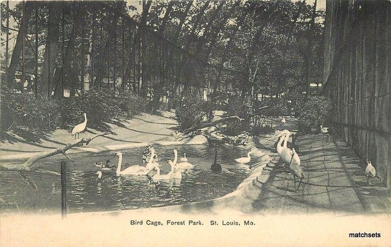 C-1910 St Louis Missouri Bird Cage Forest Park undivided postcard 4792