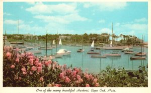 Vintage Postcard 1961 One of the Many Beautiful Harbor Cape Cod Massachusetts MA