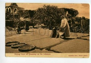 487837 Lebanon Drying Corn on Housetop Vintage ADVERTISING Sarrafian postcard