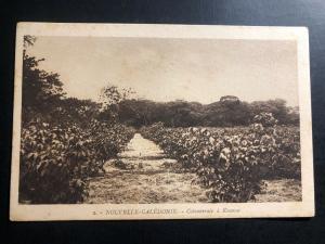 Mint New Caledonia Real Picture Postcard RPPC Colony At Koumac