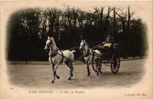 CPA AK PARIS MONDAIN 16e Le Bois un Tandem ND Phot (700828)