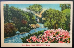 Vintage Postcard 1930-1945 Greetings from Kidron, Ohio (OH)