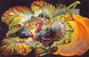 Thanksgiving Greetings Turkey Pumpkin Leaf Passepartout embossed postcard B990