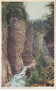 Point Lookout - Ausable Chasm - Adirondacks, New York - DB - Detroit Publishing