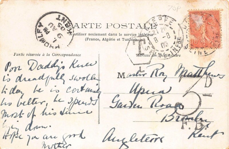 L348 Greetings 1905 Humanized Pigs drinking champagne comic vintage postcard