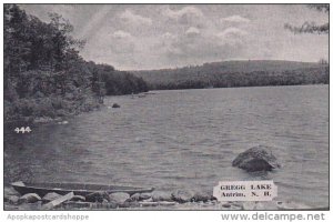 New Hampshire Antrim Gregg Lake Dexter Press