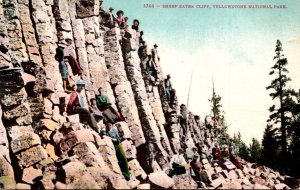 Yellowstone National Park Sheep Eater Cliff