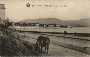 CPA Ajaccio vu de la Place Miot CORSICA (1077462)