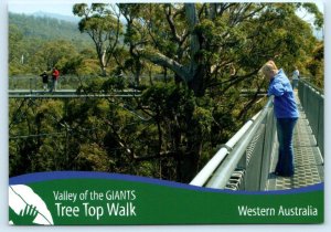 TINGLEDALE, Western Australia~ TREE TOP WALK Valley of the Giants 4x6 Postcard